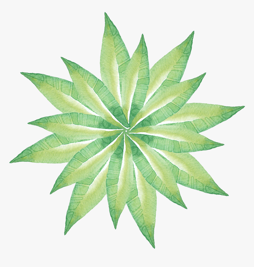 Transparent Watercolor Leaf Png - Craft, Png Download, Free Download