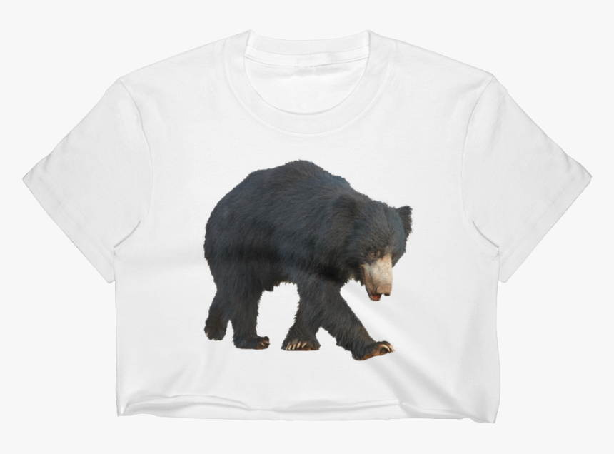 Sloth Bear Png - Sloth Bear, Transparent Png, Free Download