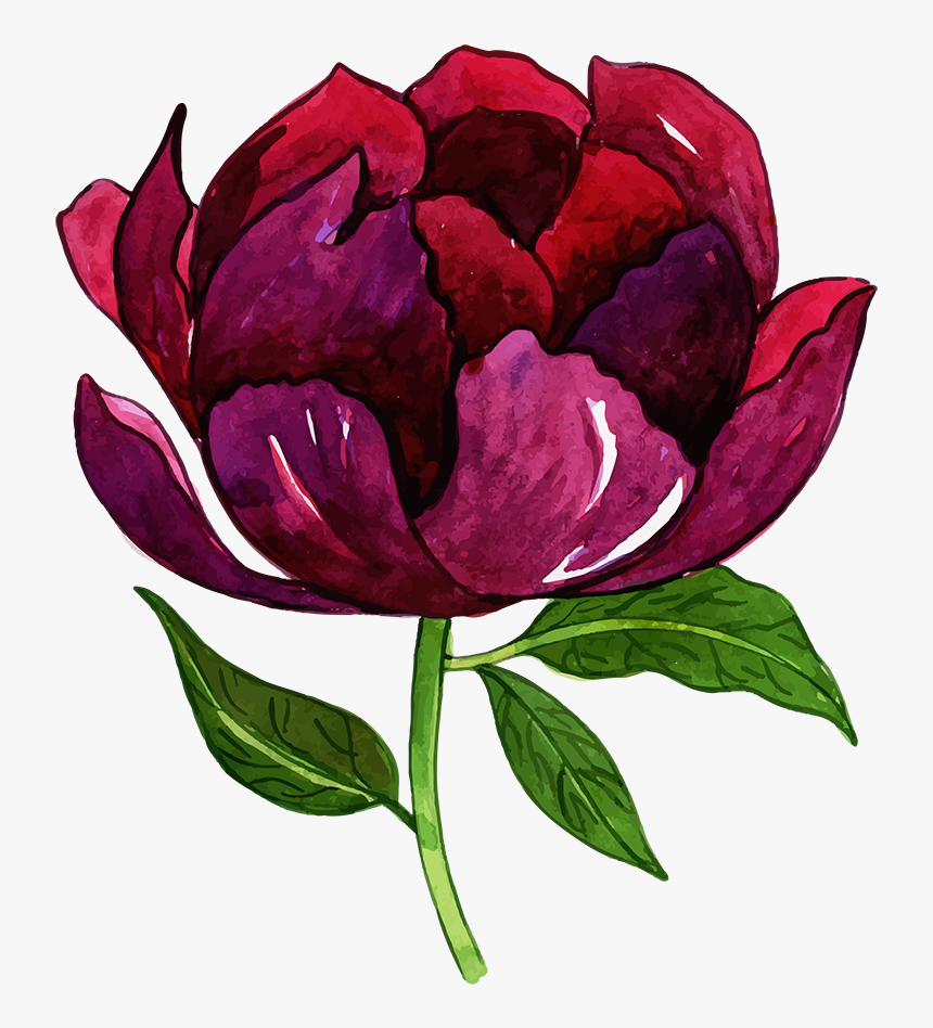 Free Png Floral Bouquets - Common Peony, Transparent Png, Free Download