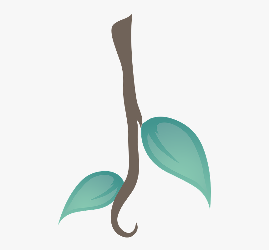 Lianas .png, Transparent Png, Free Download