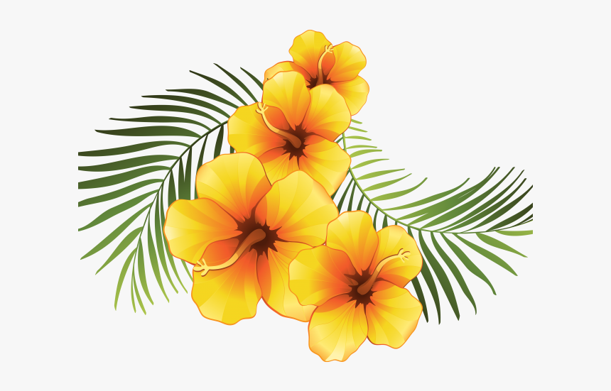 Exotic Clipart Moana Tropical Flower Vector Png Transparent Png Kindpng