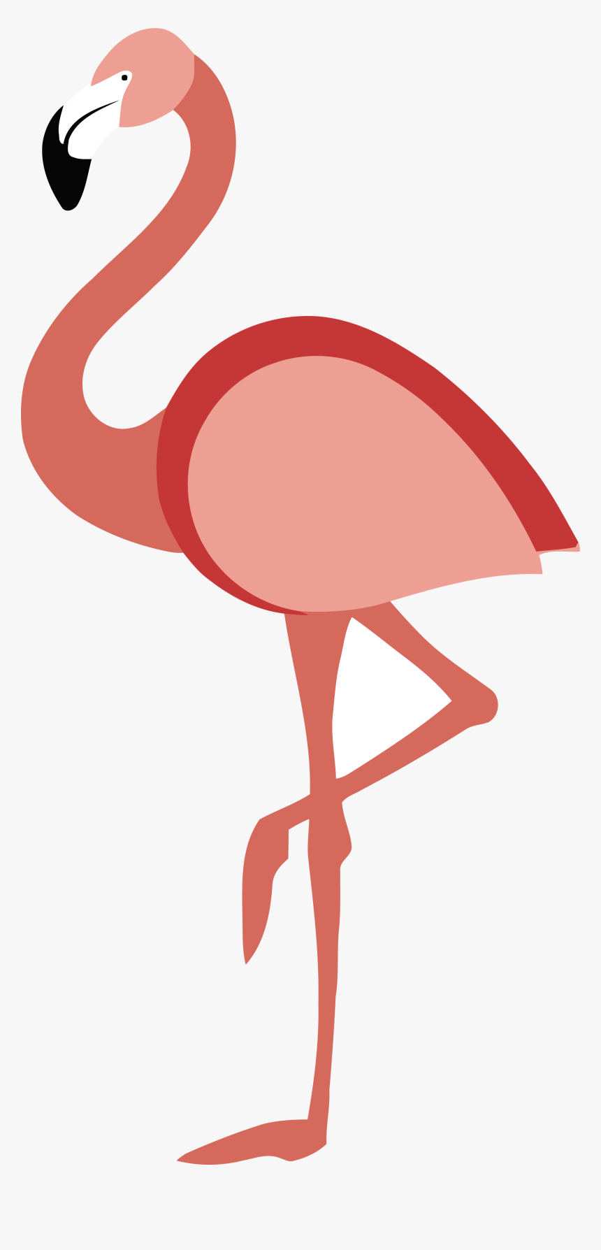 Flamingo Clipart Water Clipart - Ibis, HD Png Download, Free Download