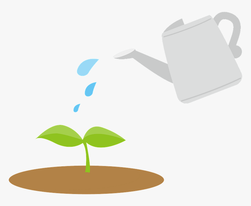 Sprout Plant Water Clipart - 植物 水 やり イラスト, HD Png Download, Free Download