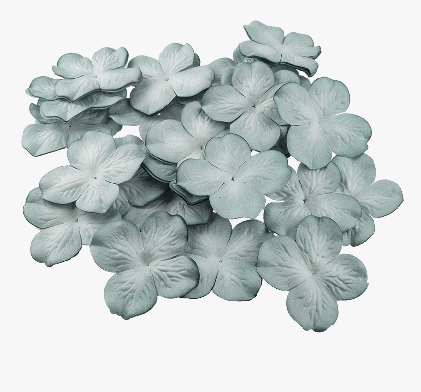 50 2-tone Cadet Blue Hydrangea Blooms - Artificial Flower, HD Png Download, Free Download