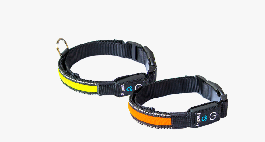 Dog Collar, HD Png Download, Free Download