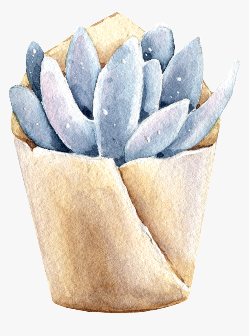 Succulents Hand Painted Watercolors Of Transparent - Paper, HD Png Download, Free Download