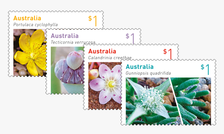 Australian Succulents Set Of Stamps - Australian 2017 Flower Stamps, HD Png Download, Free Download