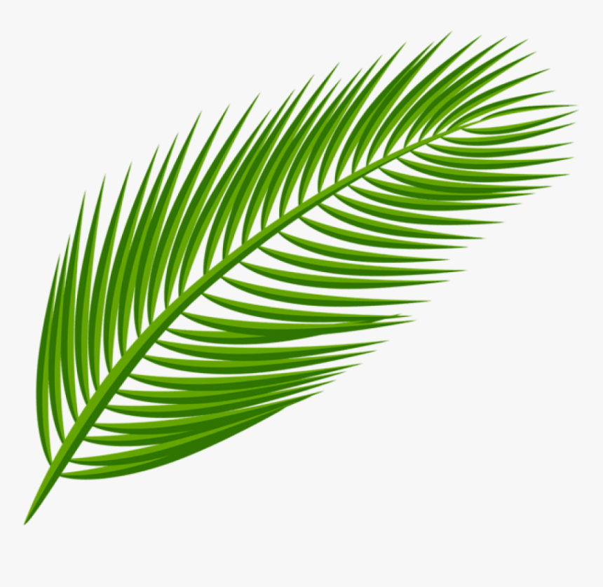 Download Palm Leaf Transparent Clipart Png Photo , - Transparent Background Palm Leaves Clipart, Png Download, Free Download