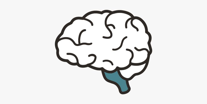 How To Draw Brain - Brain Easy To Draw, HD Png Download , Transparent Png  Image - PNGitem