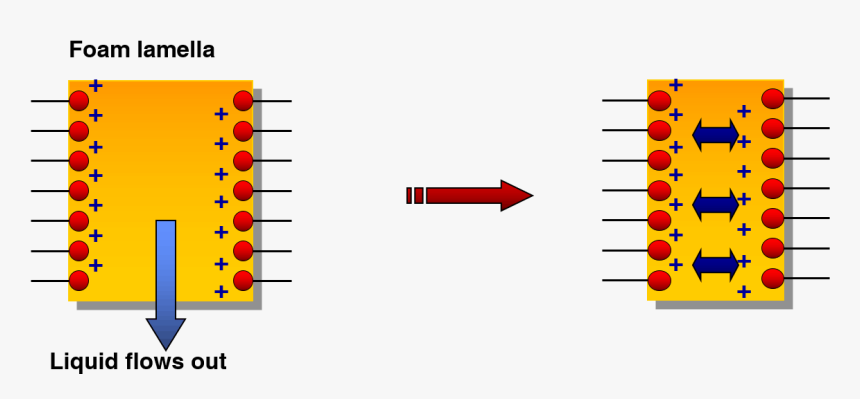 Diagram, HD Png Download, Free Download