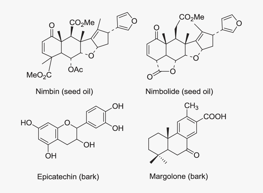 Active Compounds Of Neem, HD Png Download, Free Download