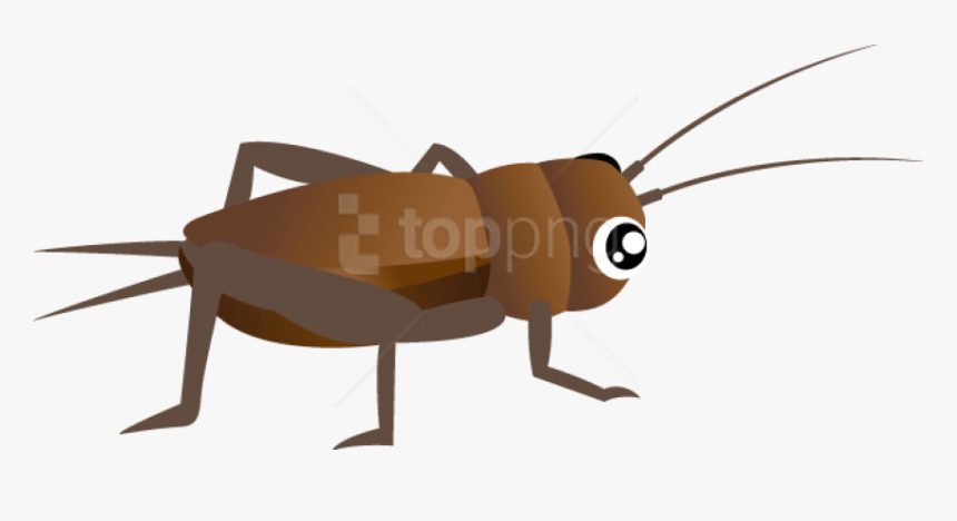 Free Png Download Cricket Insect Clipart Png Images - Cricket Bug Clip Art, Transparent Png, Free Download