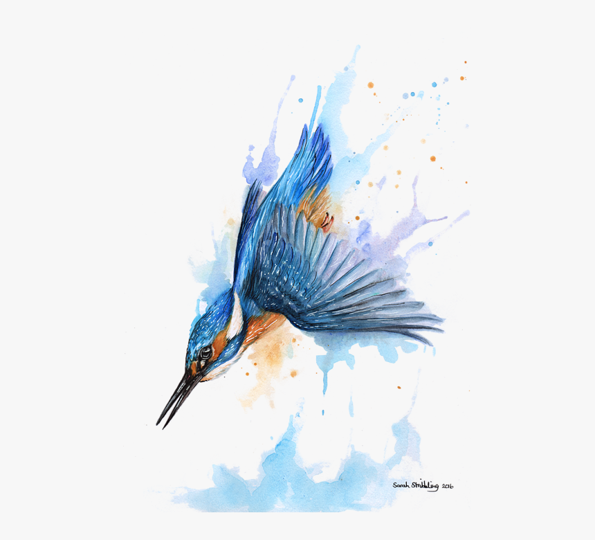 Australian Drawing Kingfisher - Kingfisher Diving Painting, HD Png Download, Free Download