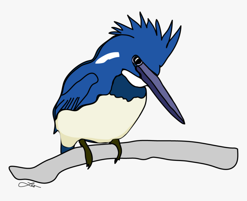 The Belted Kingfisher Keeps Me Company All The While - Fly Fishing, HD Png Download, Free Download