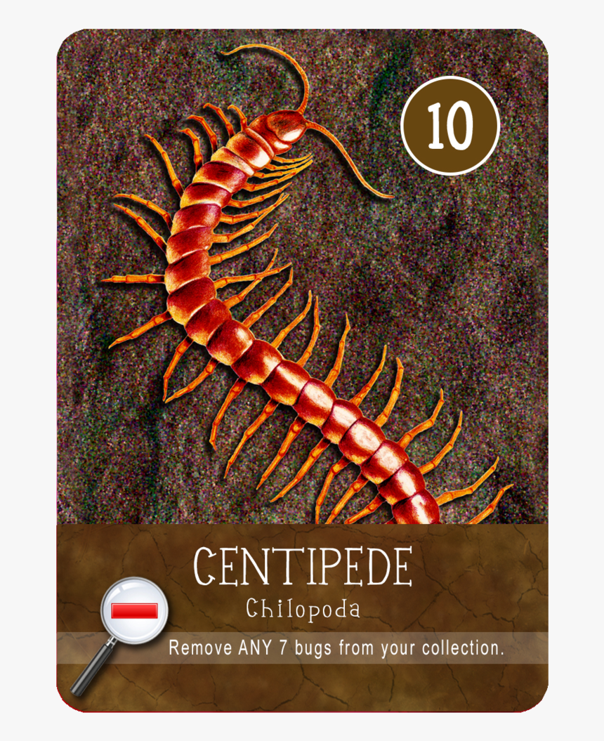 Centipede, HD Png Download, Free Download