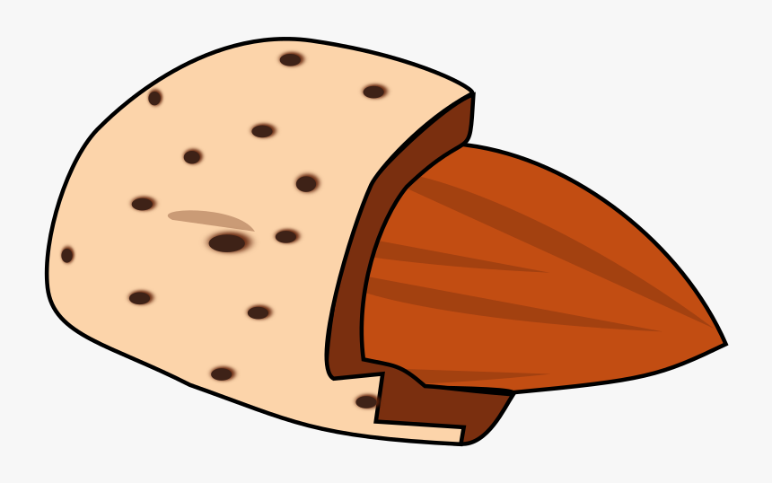 Almond Big Image Png - Illustration, Transparent Png, Free Download