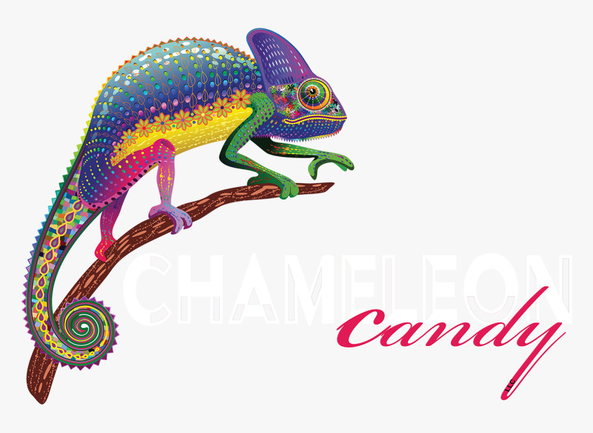 Gecko Clipart Chameleon - Common Chameleon, HD Png Download, Free Download