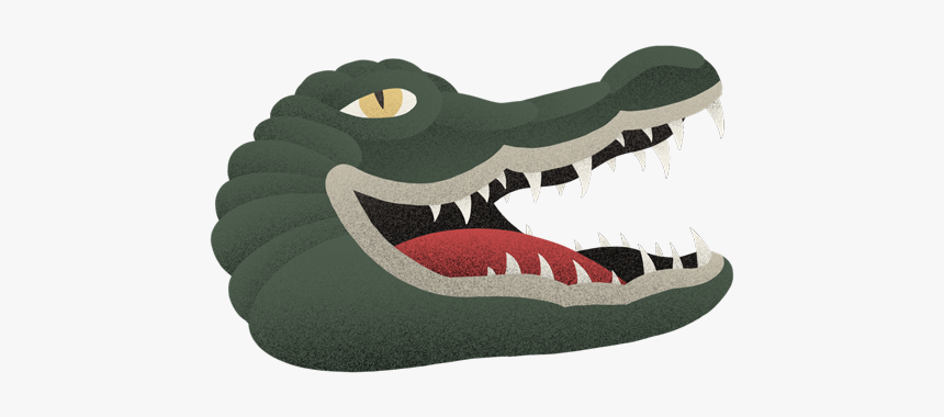 American Crocodile, HD Png Download, Free Download