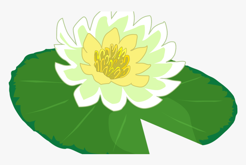White Flower Water Lily Clipart The Cliparts Png Clipartix - Clipart Lily Pad Flower, Transparent Png, Free Download
