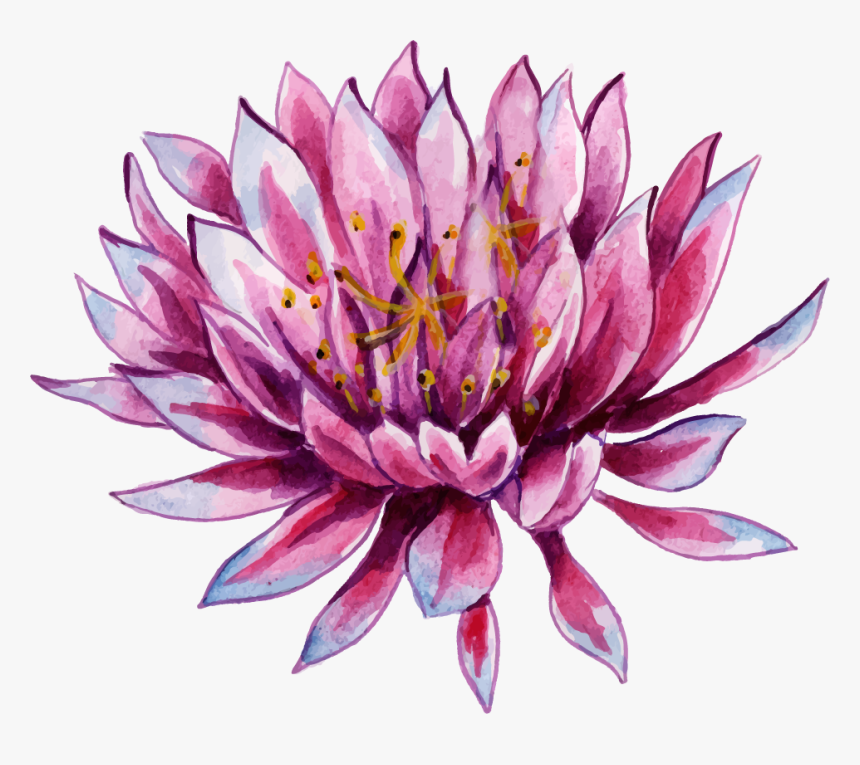 Sacred Lotus, HD Png Download, Free Download