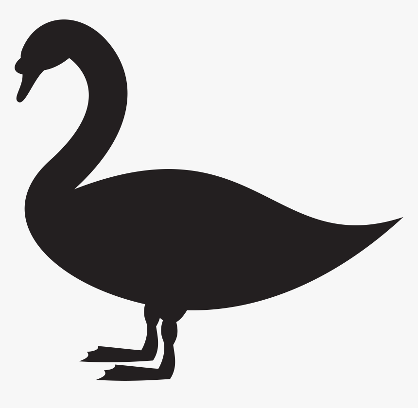 Swan Png , Png Download, Transparent Png, Free Download