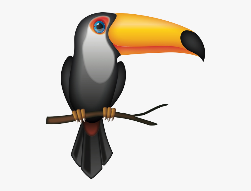 Toucan, HD Png Download, Free Download