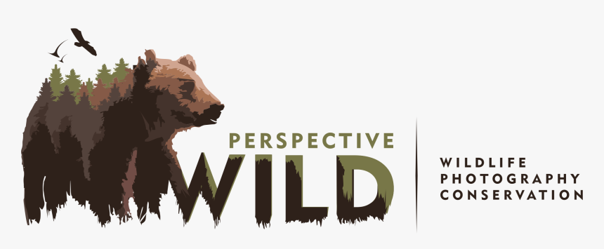 Wildlife Photography Logo Png , Png Download - Wild Photography Text, Transparent Png, Free Download