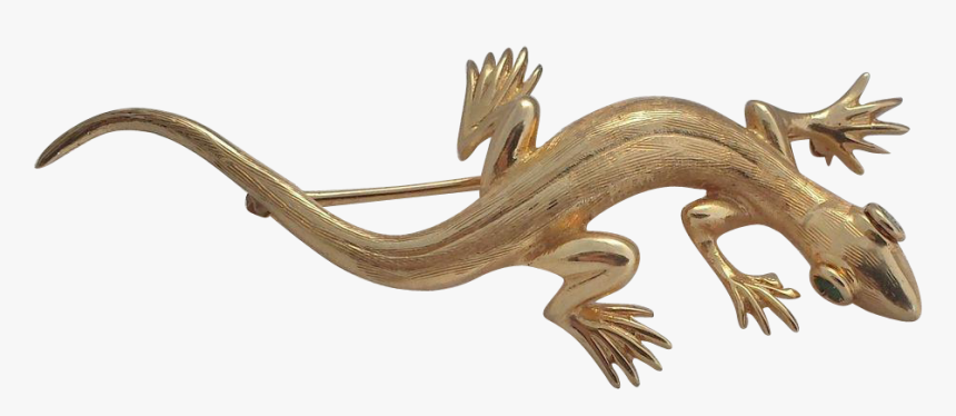 Gecko, HD Png Download, Free Download