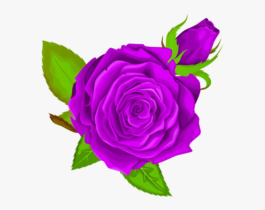 Purple Rose Flower Clipart, HD Png Download, Free Download