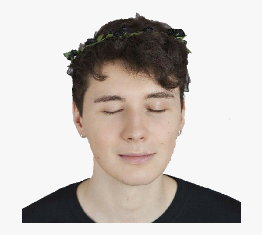 #danisnotonfire #danielhowell #dan #daniel #howell - Dan Howell Aesthetic Gay, HD Png Download, Free Download