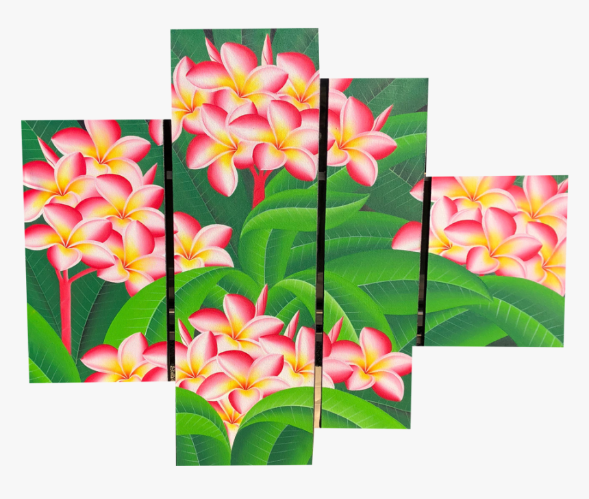 Transparent Plumeria Flower Png - Frangipani, Png Download, Free Download