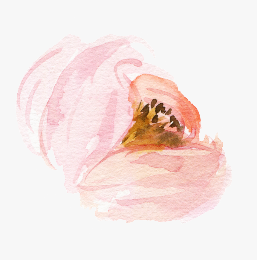 Acuarela Flor Png , Png Download - Watercolor Paint, Transparent Png, Free Download