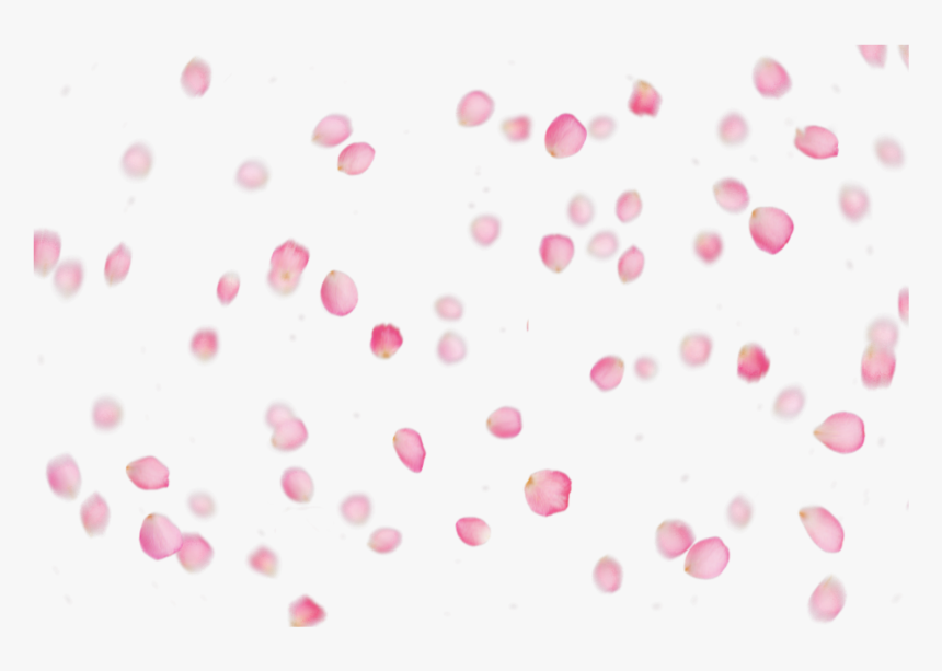 #freetoedit #pink #rose #petals - Polka Dot, HD Png Download, Free Download
