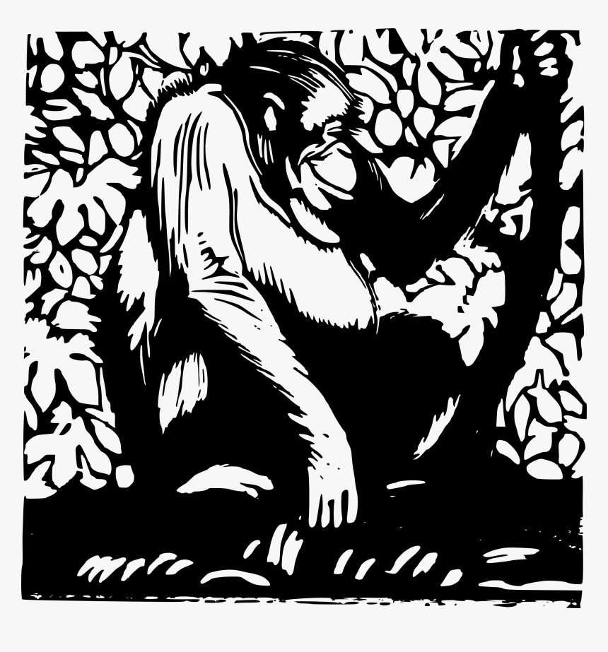 Orangutan Wood Cut Clip Arts - Orang Utan Woodcut, HD Png Download, Free Download