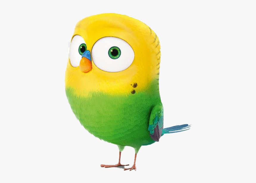 The Secret Life Of Pets Transparent Images Png - Bird From The Secret Life Of Pets, Png Download, Free Download