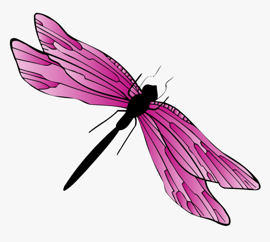 Dragonfly Clipart Gif, HD Png Download, Free Download