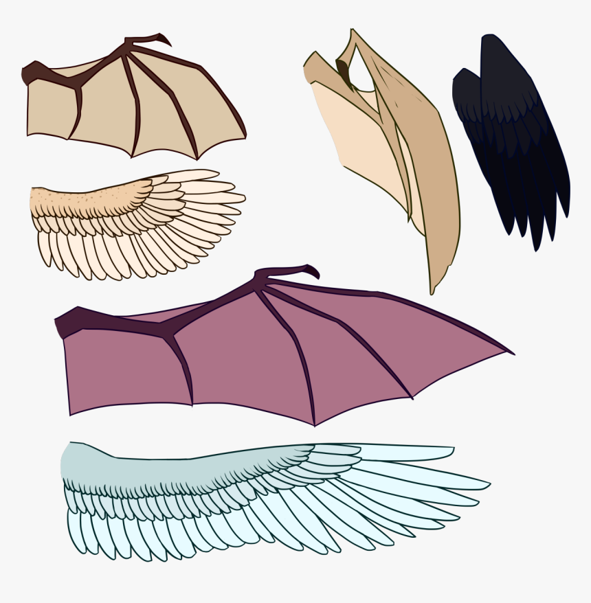 Demon Bat Wings Png Transparent Png Kindpng - roblox wikia demon skeleton wings roblox hd png download kindpng