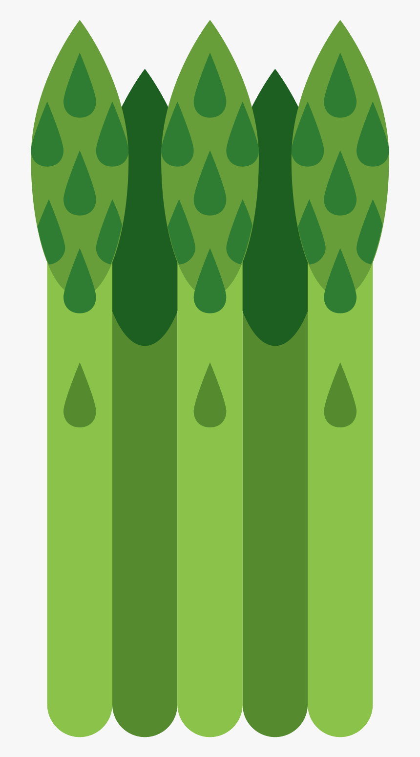 Asparagus Clipart Transparent - Spargel Icon, HD Png Download, Free Download