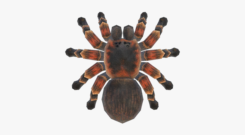 Tarantula Nh - Animal Crossing New Horizons Spider, HD Png Download, Free Download