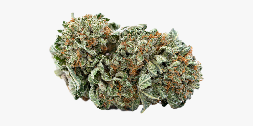 Kush, HD Png Download, Free Download