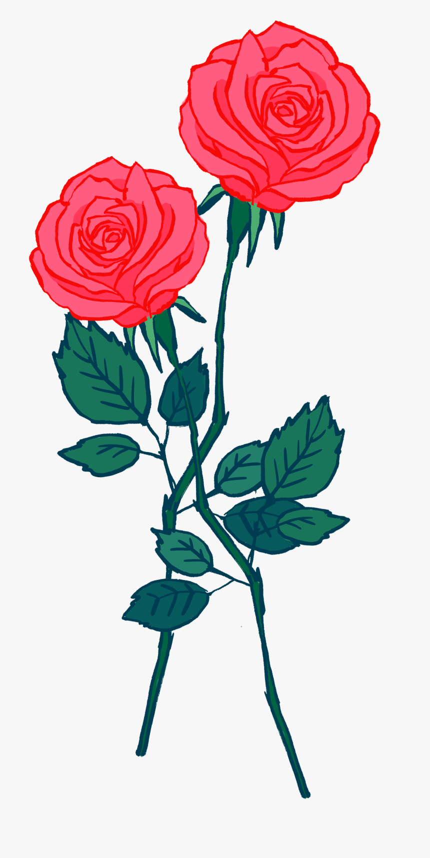 Garden Roses, HD Png Download, Free Download