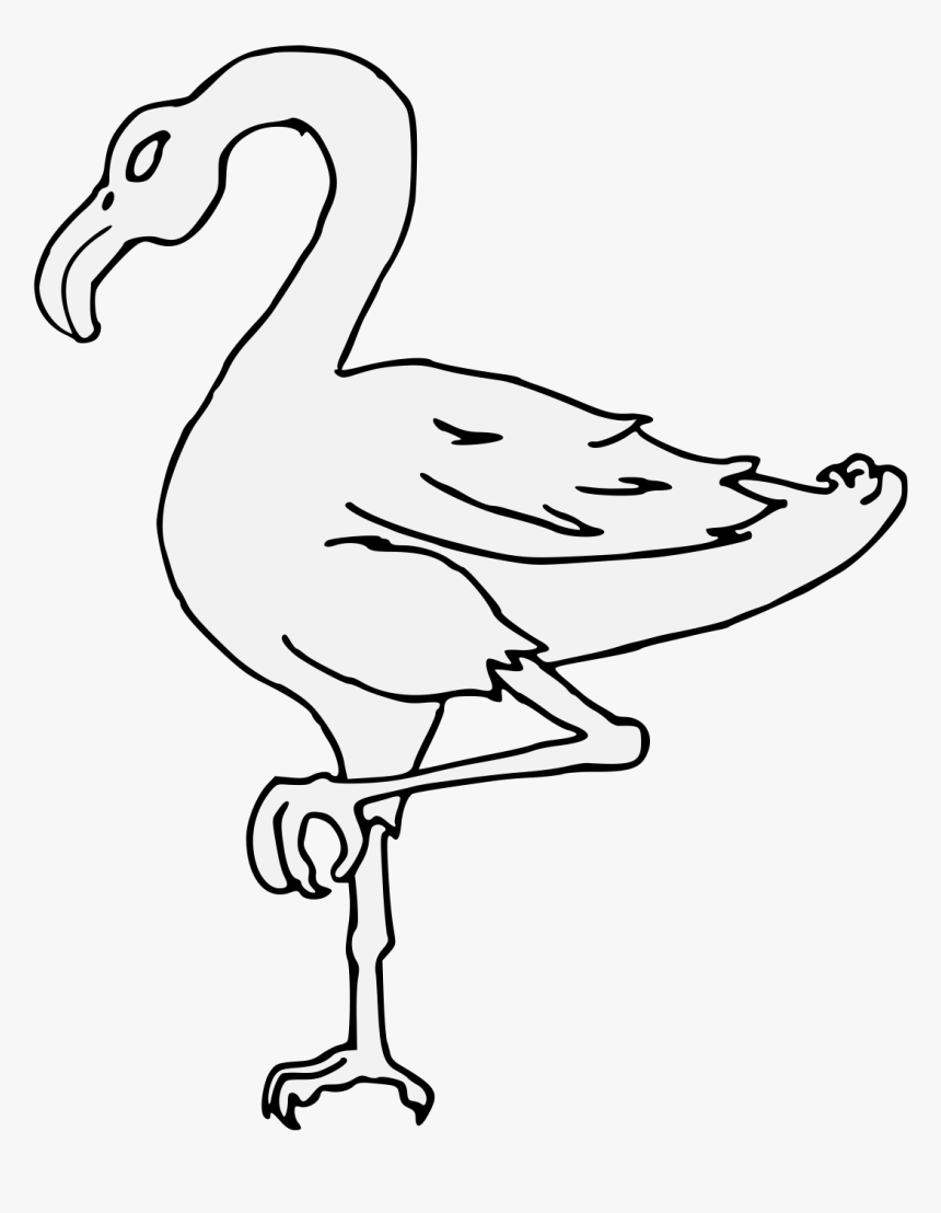 Details, Png - Duck - Duck, Transparent Png, Free Download