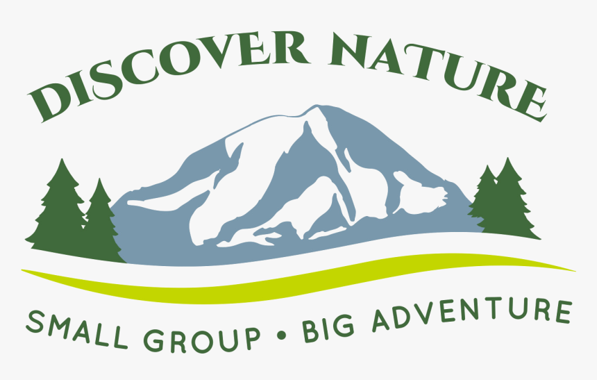 Tour Mt - Rainier - Mt Rainier Clip Art, HD Png Download, Free Download