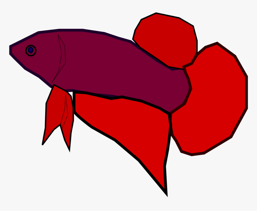 Download File Betta Splendens Svg Siamese Fighting Fish Hd Png Download Kindpng