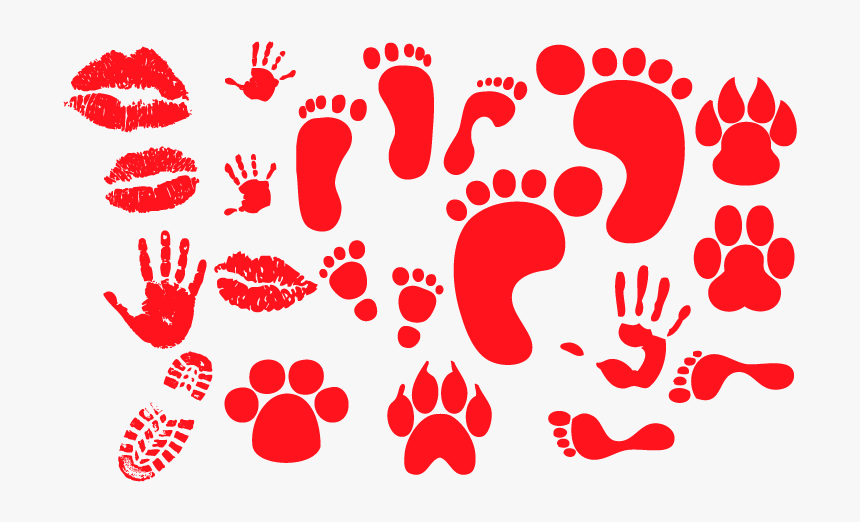 Png Animal Footprints, Transparent Png, Free Download