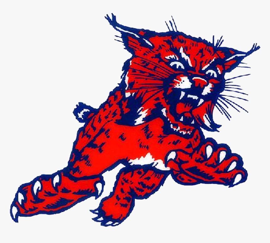 Bobcat Png, Transparent Png, Free Download