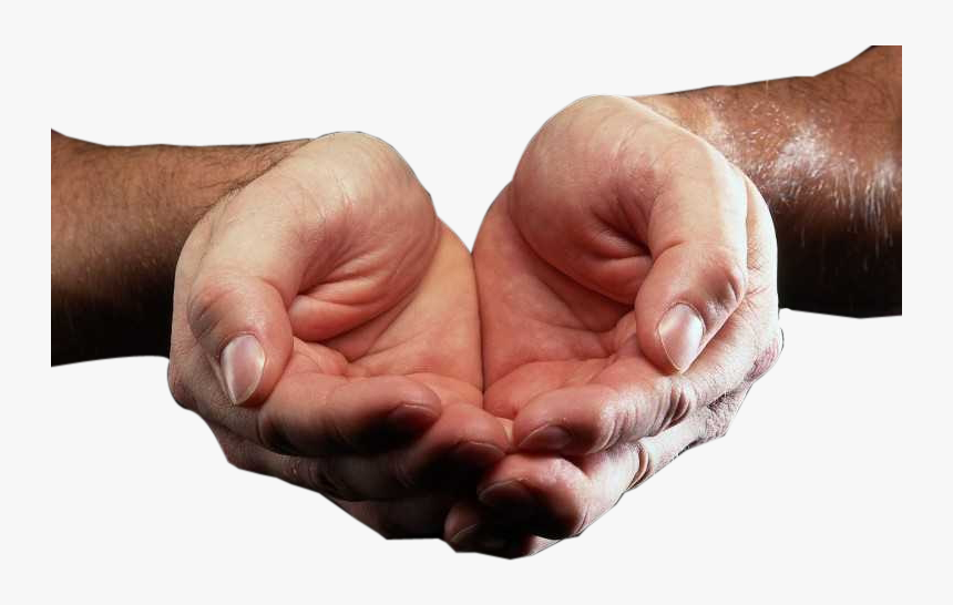 Transparent Cupped Hands Png Hands In A Cup Png Download Kindpng