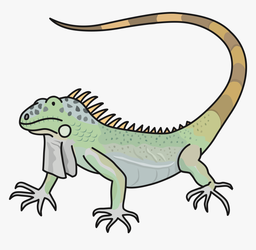Marine Iguana Cartoon , Png Download - Iguana Png Cartoon, Transparent Png, Free Download