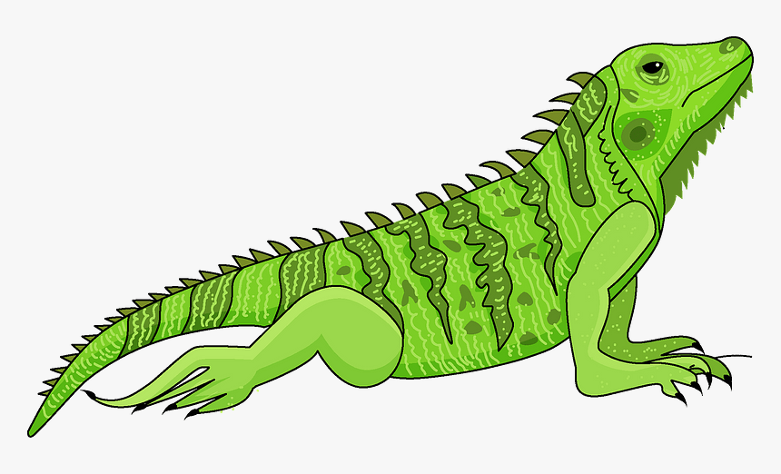 Iguana Clipart - Crocodile, HD Png Download, Free Download