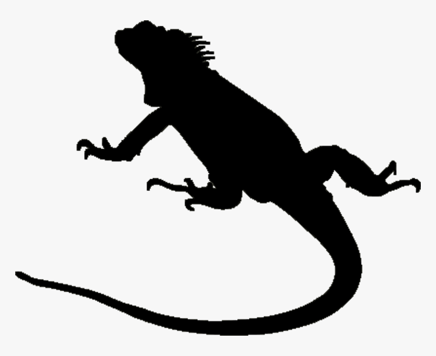 free iguana clipart